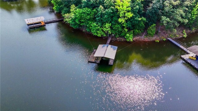 425 Lakewood Dr, Townville, SC 29689 - photo 48
