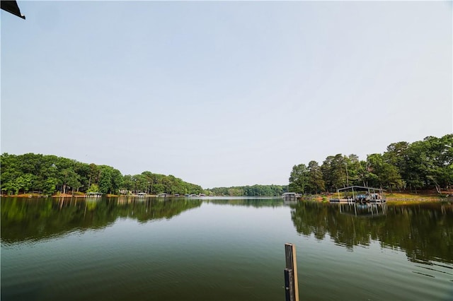 425 Lakewood Dr, Townville, SC 29689 - photo 42