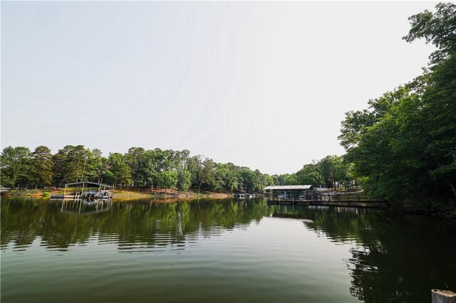 425 Lakewood Dr, Townville, SC 29689 - photo 43