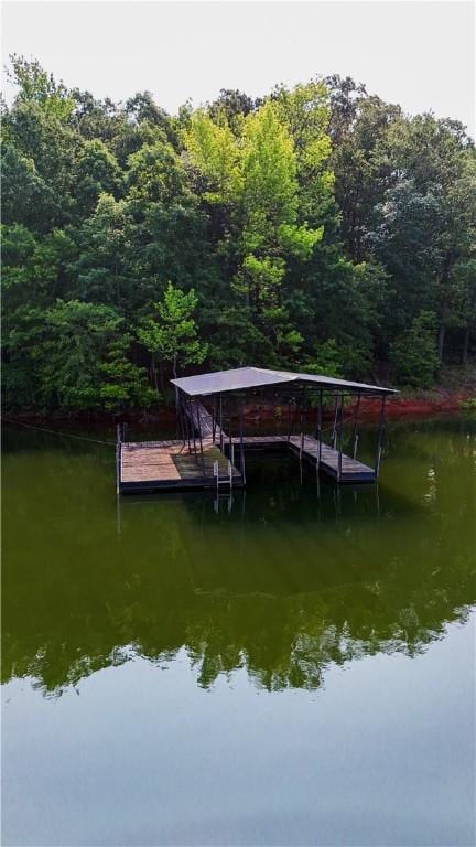 425 Lakewood Dr, Townville, SC 29689 - photo 44