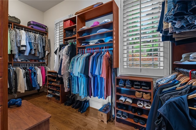 117 Misty Water Loop, Sunset, SC 29685 - walk in closet with wood finished floors