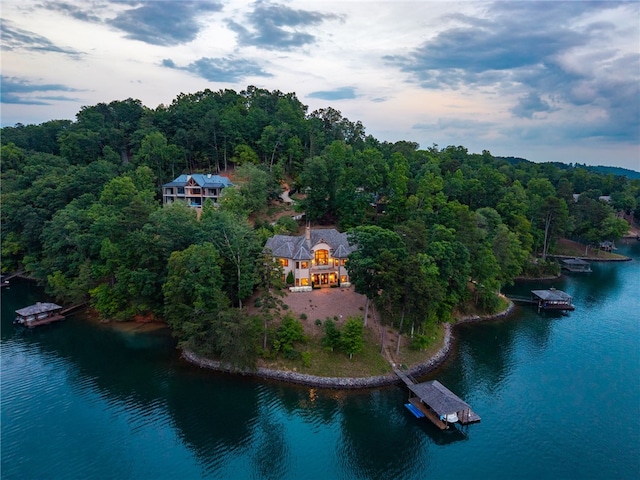 117 Misty Water Loop, Sunset, SC 29685 - view of subject property with a large body of water and a forest
