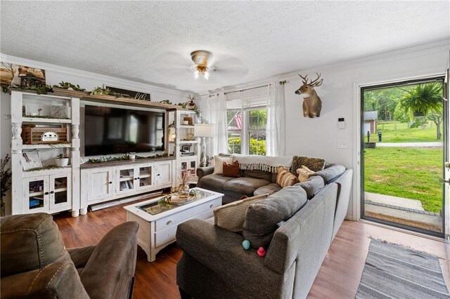 111 Karla Ave, Liberty, SC 29657 - photo 10