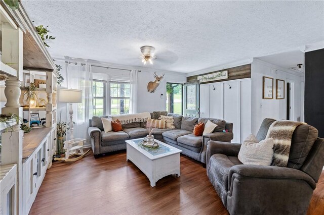 111 Karla Ave, Liberty, SC 29657 - photo 12