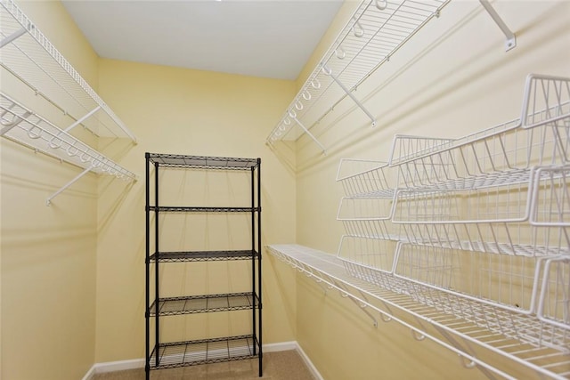 704 Nottingham Ct, Seneca, SC 29672 - spacious closet featuring carpet floors