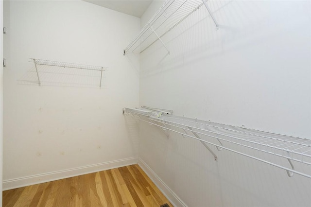 207 W Green Chase, Anderson, SC 29621 - spacious closet with light wood-style floors