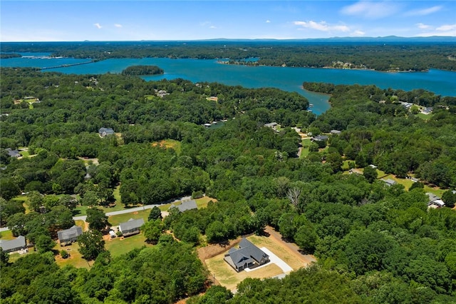 100 Grandview Dr, Anderson, SC 29625 - bird's eye view of a heavily wooded area and a large body of water