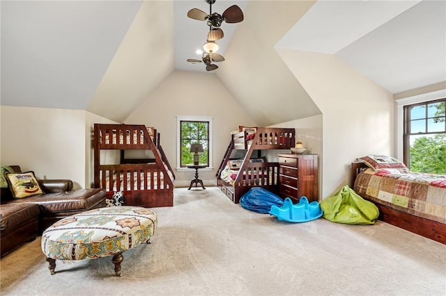 194 Cool Water Way, Sunset, SC 29685 - carpeted bedroom featuring lofted ceiling