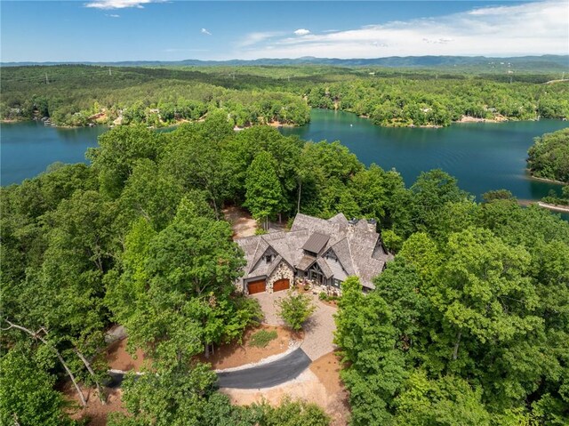 194 Cool Water Way, Sunset, SC 29685 - view of subject property featuring a heavily wooded area and a large body of water