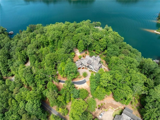194 Cool Water Way, Sunset, SC 29685 - aerial view of a nearby body of water