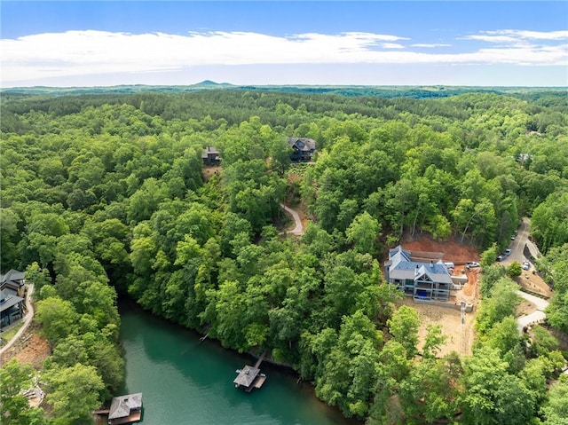 194 Cool Water Way, Sunset, SC 29685 - drone / aerial view of a forest and a nearby body of water