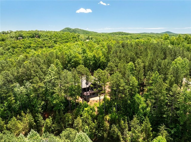 251 Settlement Blvd, Sunset, SC 29685 - view from above of property with a forest