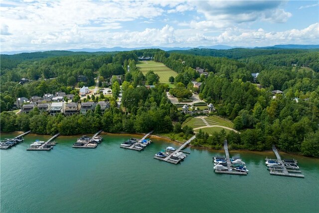 251 Settlement Blvd, Sunset, SC 29685 - aerial view of a heavily wooded area and a water and mountain view