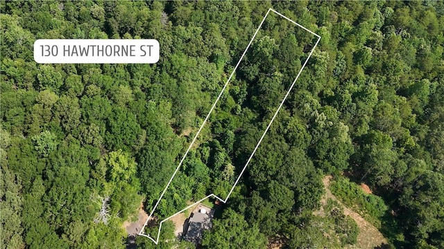 130 Hawthorne St, Clemson, SC 29631 - photo 1