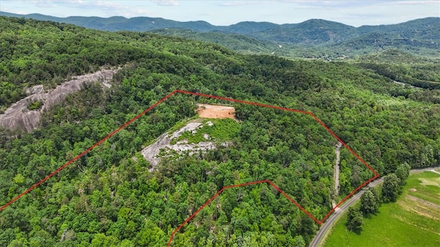 271 River Rd, Marietta, SC 29661