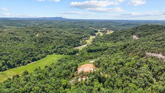 271 River Rd, Marietta, SC 29661