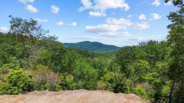 271 River Rd, Marietta, SC 29661