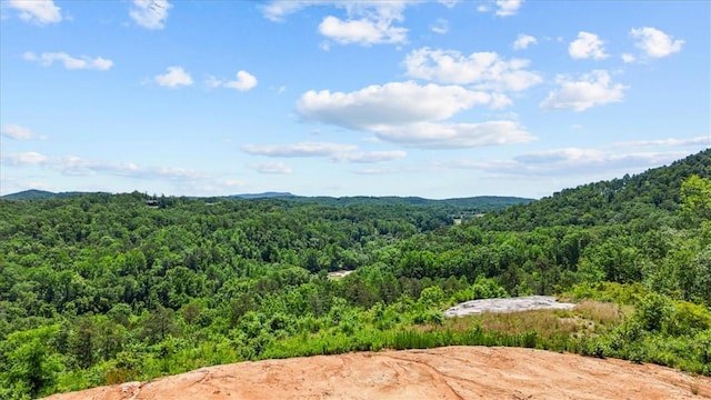 271 River Rd, Marietta, SC 29661
