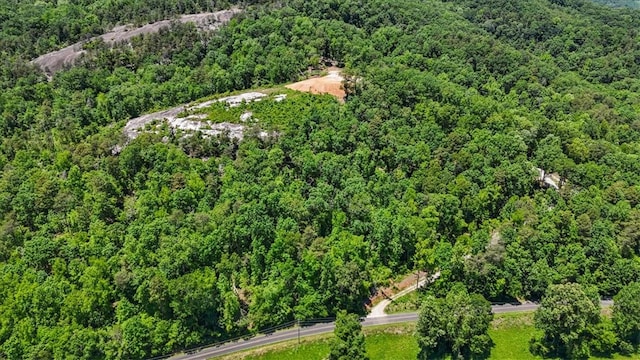 271 River Rd, Marietta, SC 29661