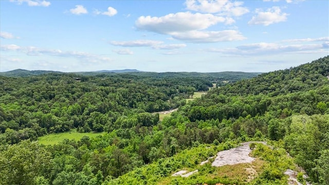 271 River Rd, Marietta, SC 29661