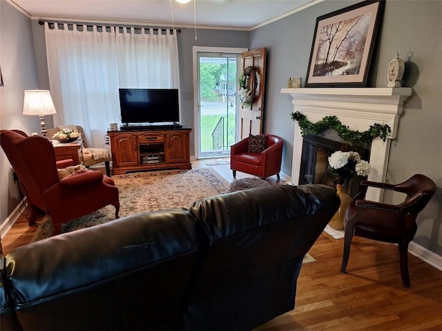 709 Ferry St, Anderson, SC 29626 - living room featuring ornamental molding, baseboards, wood finished floors, and a fireplace