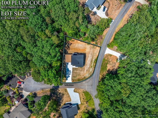 100 Plum Ct, Westminster, SC 29693 - aerial view of property and surrounding area with property boundaries highlighted