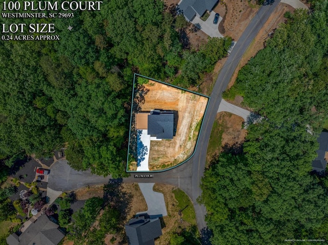 100 Plum Ct, Westminster, SC 29693 - view of property location with property parcel outlined