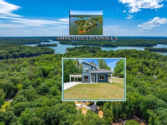 100 Plum Ct, Westminster, SC 29693 - aerial view of property's location featuring a forest, property boundaries highlighted, and a large body of water