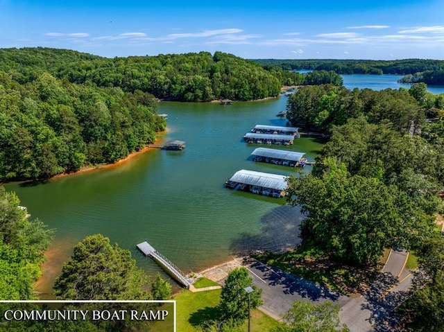 100 Plum Ct, Westminster, SC 29693 - aerial view of a forest and a large body of water