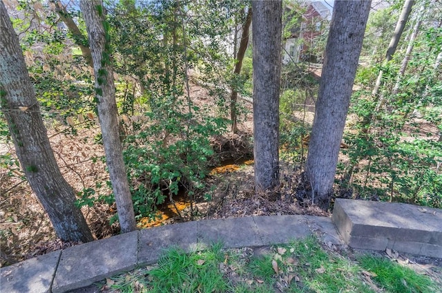 206 Waverly Hall Ln, Simpsonville, SC 29681 - view of yard