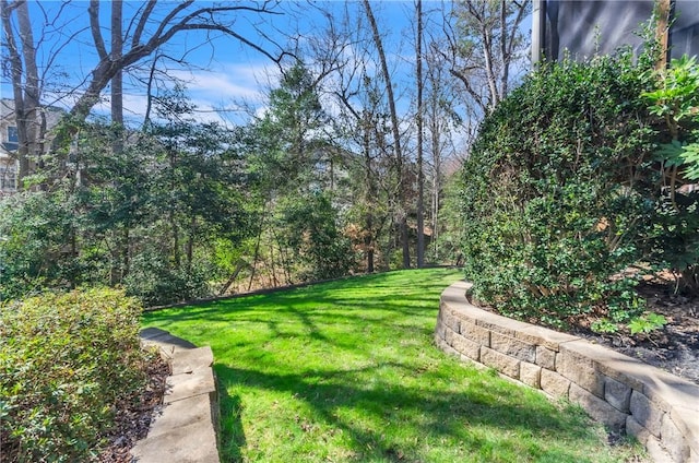 206 Waverly Hall Ln, Simpsonville, SC 29681 - view of grassy yard
