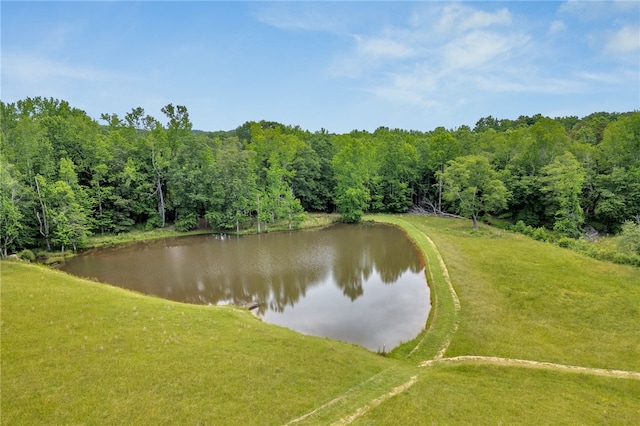 1142 Fox Squirrel Ridge Rd, Pickens, SC 29671 - water view with a forest