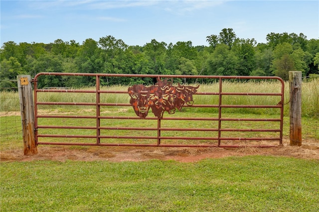 1142 Fox Squirrel Ridge Rd, Pickens, SC 29671 - gate with a forest view