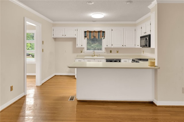 1142 Fox Squirrel Ridge Rd, Pickens, SC 29671 - kitchen with black microwave, a sink, light countertops, white cabinets, and plenty of natural light