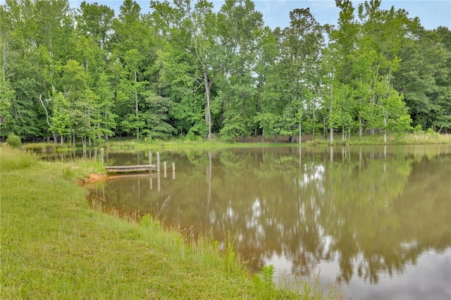 1142 Fox Squirrel Ridge Rd, Pickens, SC 29671 - water view with a forest