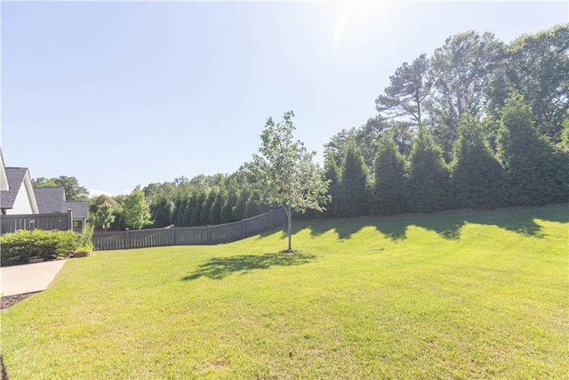 112 Stanbury Dr, Clemson, SC 29631 - photo 33