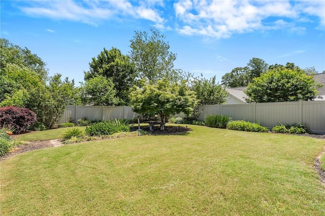 104 Brittania Cir, Anderson, SC 29621 - view of yard