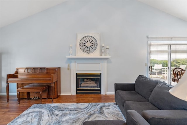 104 Brittania Cir, Anderson, SC 29621 - living room with high vaulted ceiling, wood finished floors, a glass covered fireplace, and baseboards