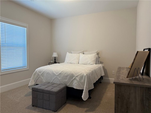 479 Twin View Dr, Westminster, SC 29693 - bedroom featuring carpet floors and baseboards