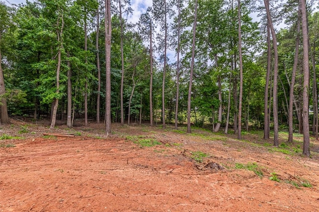 115 Century Ct, Pendleton, SC 29670 - photo 30