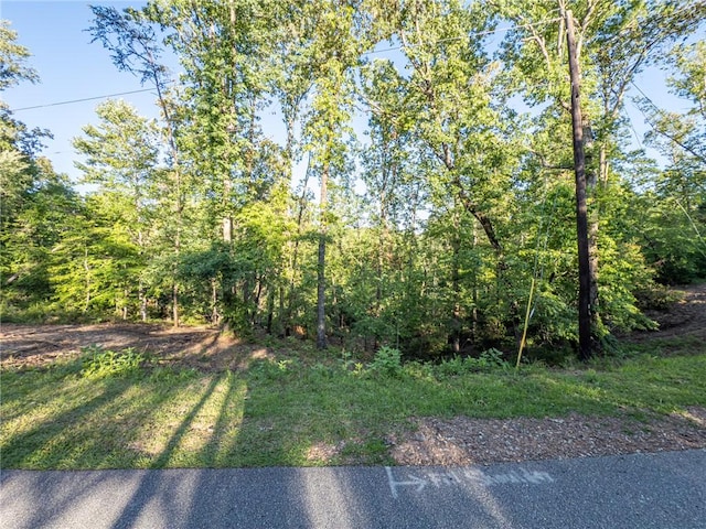 LOT21 Old Shallowford Bridge Rd, Sunset, SC 29685