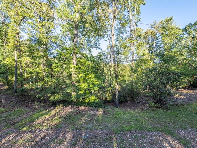 LOT21 Old Shallowford Bridge Rd, Sunset, SC 29685