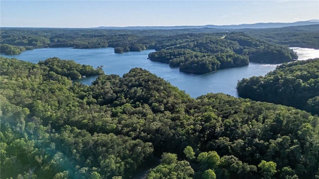 LOT21 Old Shallowford Bridge Rd, Sunset, SC 29685
