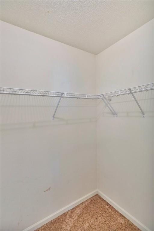 123 Stevens Ct, Williamston, SC 29697 - spacious closet featuring light carpet