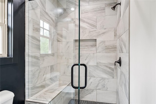 1104 Little River View Dr, Seneca, SC 29672 - full bathroom with toilet and a stall shower