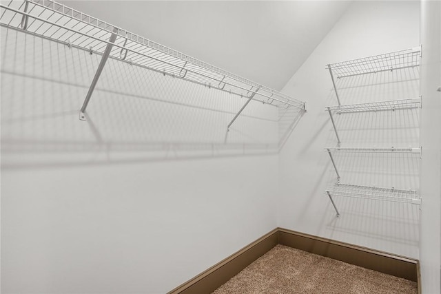 1104 Little River View Dr, Seneca, SC 29672 - walk in closet featuring carpet floors and vaulted ceiling