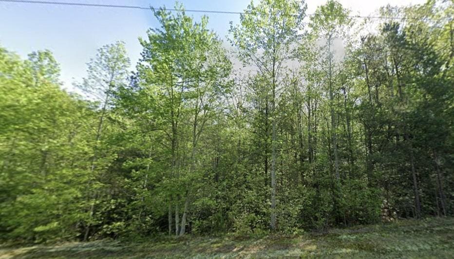 106 Matthews Creek Ln, Cleveland, SC 29635