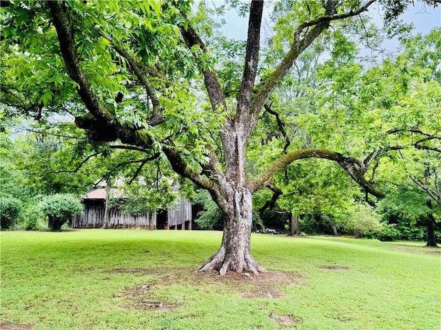 800 Holiday Dam Rd, Honea Path, SC 29654 - view of grassy yard