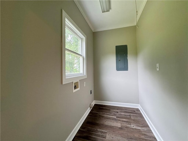 800 Holiday Dam Rd, Honea Path, SC 29654 - spare room with electric panel, ornamental molding, dark wood-style flooring, and baseboards
