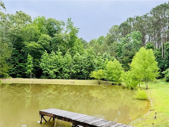 800 Holiday Dam Rd, Honea Path, SC 29654 - dock area featuring a water view